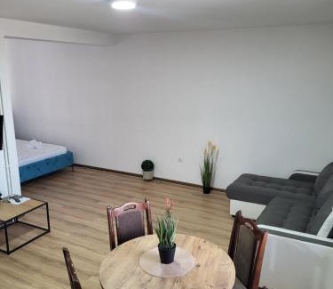 Pozarevac Apartment | Trpeza Prenociste