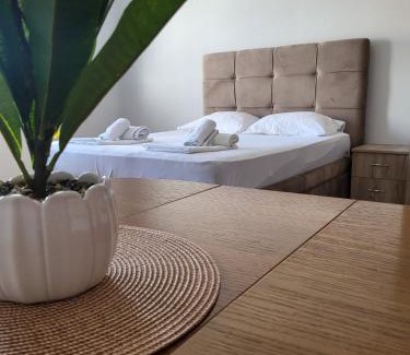 Pozarevac Apartment | Trpeza Prenociste