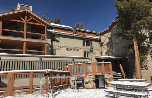 Breckenridge Condo | True Ski-in Ski-Out at Ski Watch on Peak 8, Breckenridge!