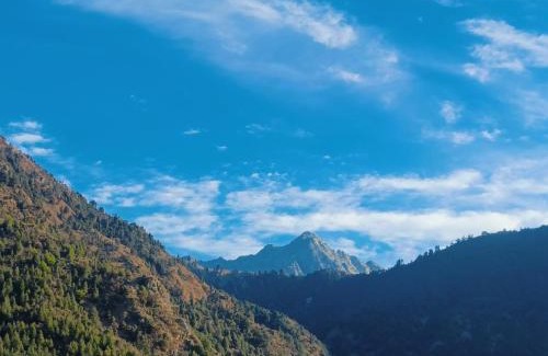 Dharamshala House | truind view home stay