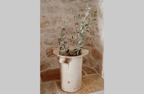 Villa Castelli Villa | Trulli Monteforte