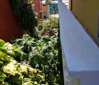 Luis Donaldo Colosio Apartment | Tucán