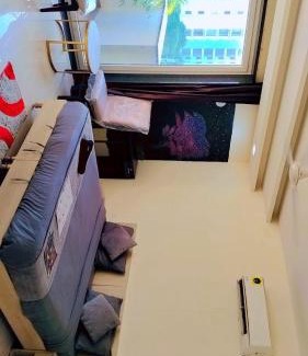 Gurugram Apartment | tulip residency