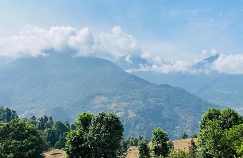 Ukhimath Hotel | Tungnath View Cottage
