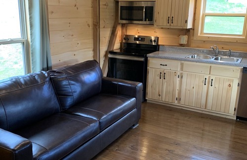 Black Mountain Cabin | Turkey Trot- New Cabin in Black Mountain w/views & discount Biltmore tickets!