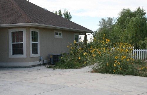 Twin Falls County House | Twin Falls one level private bedroom with full bath Private Patio & Yard.