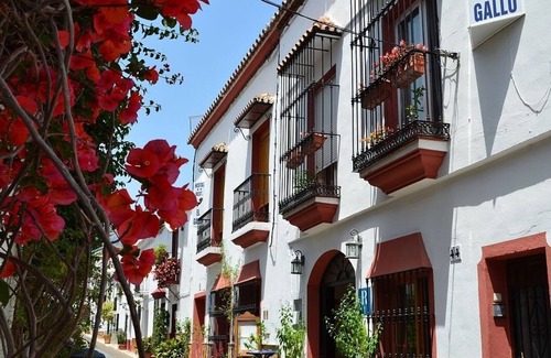 Marbella City Centre Hotel | Twin Room private bathroom