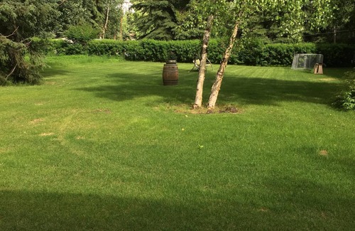 College Apartment | Two bedroom daylight basement apartment on 1 1/2 acres near University