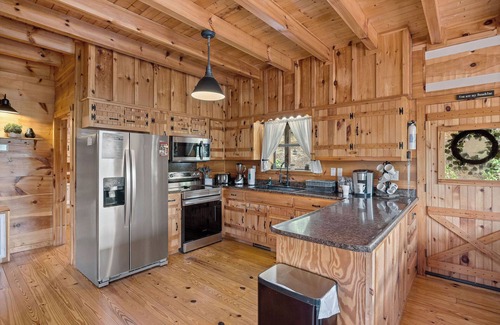 Sevierville Cabin | Two Dancing Bear Cubs – Boogie With The Bears