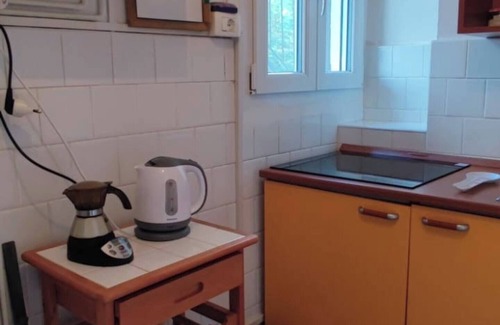 Berzi Apartment | Two-room apartment in villa with large yard, garden and free parking under the house.