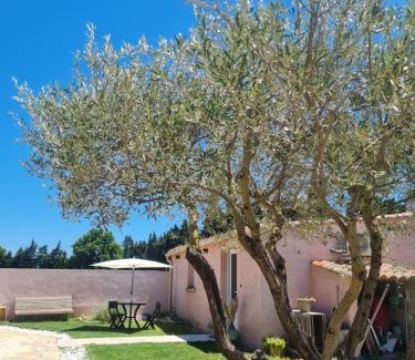 Le Thor House | Tylyan