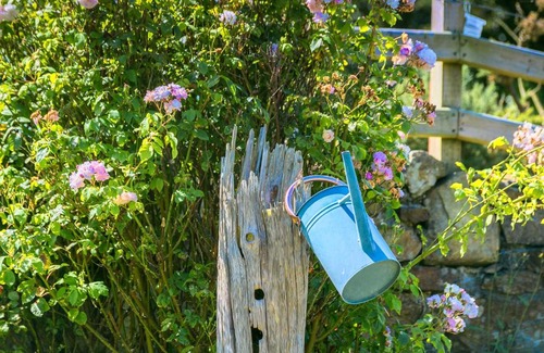 Elim Bed & Breakfast | Tyn Llain B&B