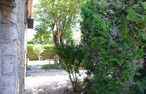 Mouries House | typical mas provençal with swimming pool in a small hamlet near mouriès in the alpilles in provence- 8 persons