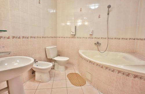 Uzhhorod Hotel | U Anity