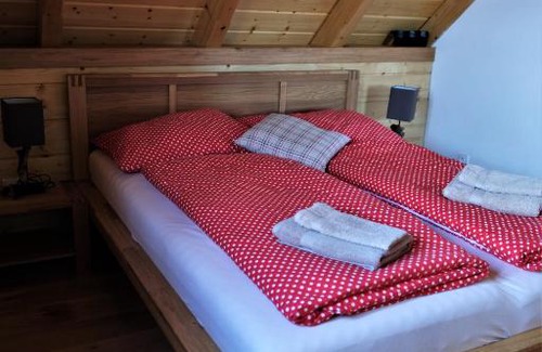 Cerny Dul Apartment | u mistra vichra