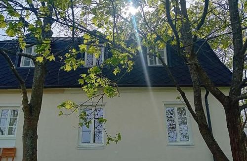 Kozli House | U Pešků
