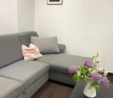 Olomouc Apartment | Ubytování Šantovka
