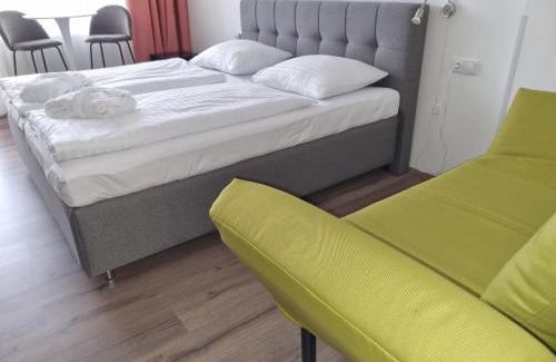 Frymburk Hotel | Ubytování Hanka v pokoji s bakónem C408
