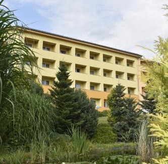 Frymburk Hotel | Ubytování Hanka v pokoji s bakónem C408