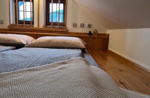Paseky nad Jizerou House | Ubytování Monika