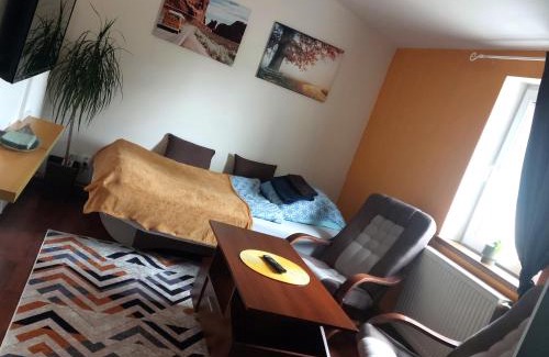 Teplice Apartment | Ubytování Teplice