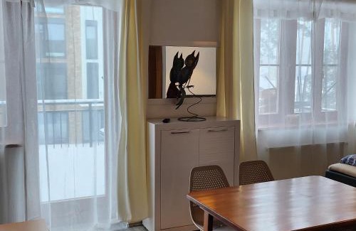 Lipno nad Vltavou Apartment | Ubytování u Maxe