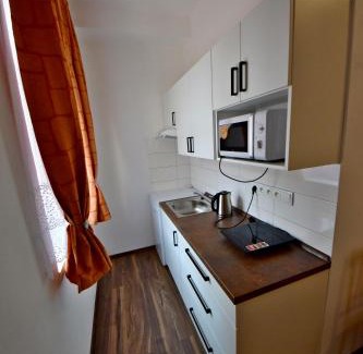 Zirovnice Apartment | Ubytování u Ráfy