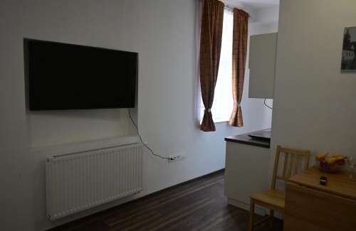 Zirovnice Apartment | Ubytování u Ráfy