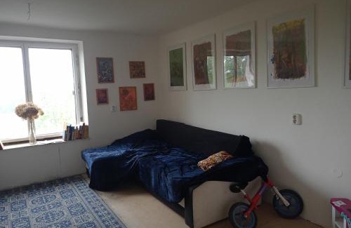 Zlata Olesnice House | Ubytování v galerii