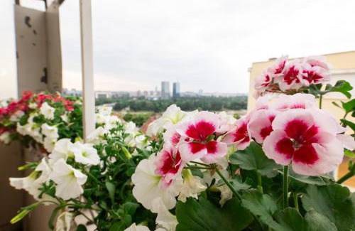Kosancicev Venac Apartment | Ugi house - City Center