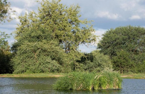 Hoedspruit Cabin | Ujabule Lodge