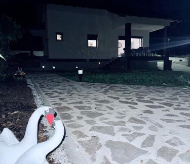 Mali Radic House | UNA Escape
