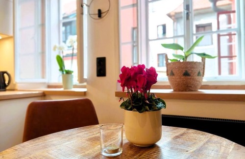 Cesky Krumlov Apartment | Unique apartment in the heart of Český Krumlov.