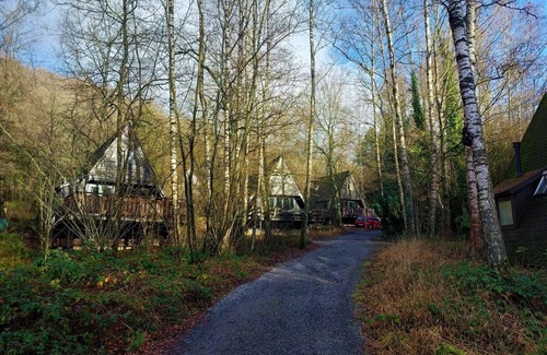 Septon Ski Chalet | Unique& atmospheric chalet in the woods of Durbuy
