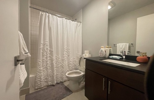 Hanover Place Apartment | Unique Downtown Condo 2 bed 2 bath