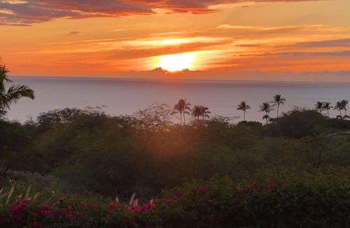 Kamuela House | UNIQUE HAWAIIAN POD HOME WITH CONTEMPORARY STYLE - GREAT FOR FAMILIES!