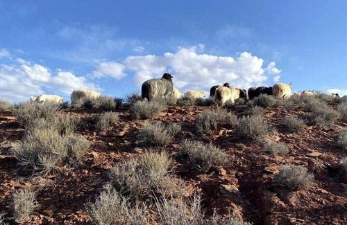Page RV Rental | Unique Hogan Rental in a Beautiful Remote Location near the Grand Canyon
