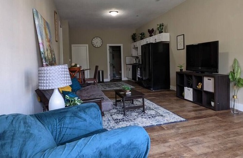 Davenport Apartment | Unique, Pet Friendly Re-model near SAU & Downtown