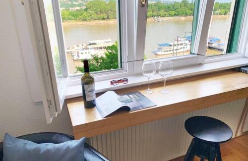 Ujlipotvaros Apartment | Unique view on Danube, Margaret Island, Buda Hills