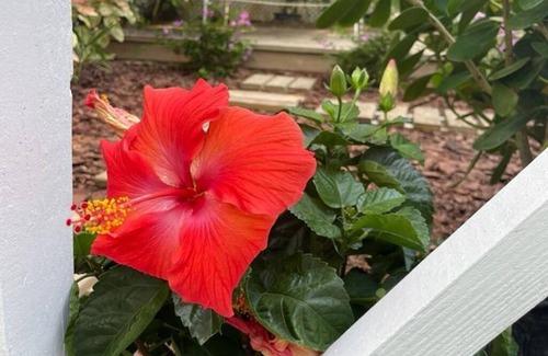 Dunmore Town Cottage | Upper Dunmore House Historic Sweet and Cozy Bahamian Style Cottage!