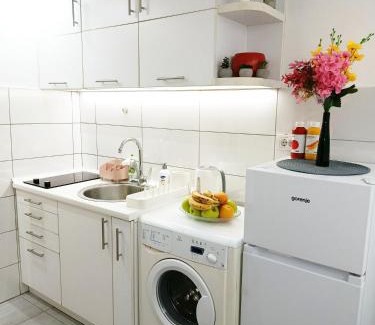 Stari Grad Apartment | Urban Garden Apartments - Sunflower