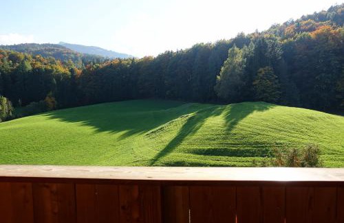 Fuschl am See House | Urlauben im Grünen