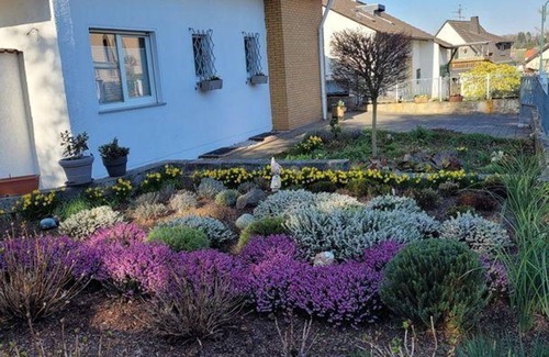 Grafschaft Apartment | Vacation apartment "Grüner Horizont" - Holiday apartment with 1 bedroom
