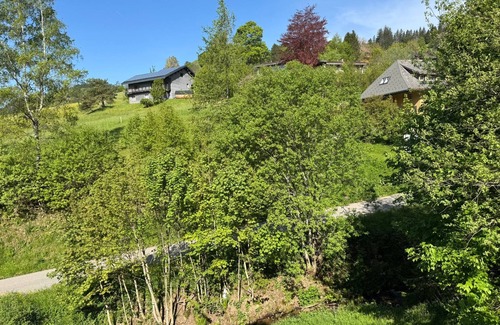 Todtnau Apartment | Vacation apartment/apartment for 5 guests with 78m² in Todtnau- Todtnauberg (271122)
