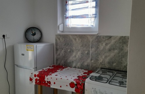 Balatonmariafurdo Villa | Vacation apartment with pool, WLAN, terrace for 2 people directly on the lake