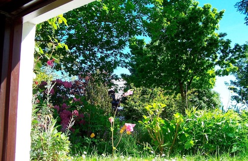 Eckernfoerde Apartment | Vacation apartment/apartment for 2 guests with 33m² in Eckernförde (1587)