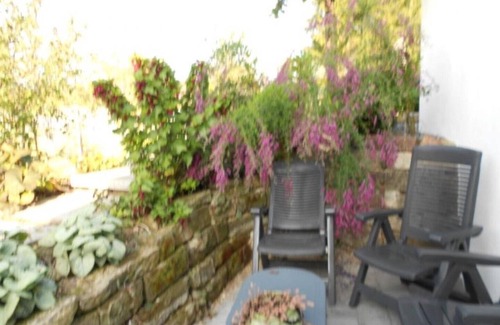 Keskastel Apartment | Vacation apartment no. 1 - Holiday apartments in Alsace