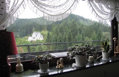 Wildemann Apartment | Vacation apartment with large balcony