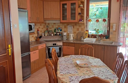 Balatonfenyves House | Vacation home Boros by Interhome