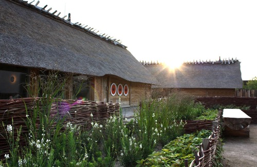 Damp House | Vacation home for 6 guests with 65m² in Damp (144225)